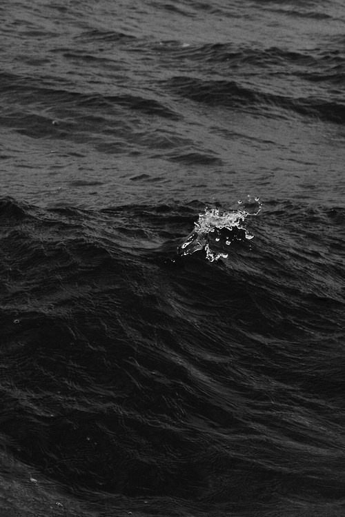 Archillect ID 14501