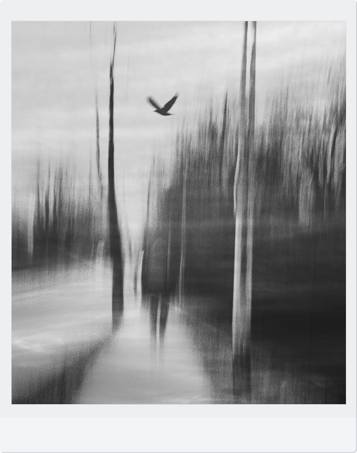 Archillect ID 14508