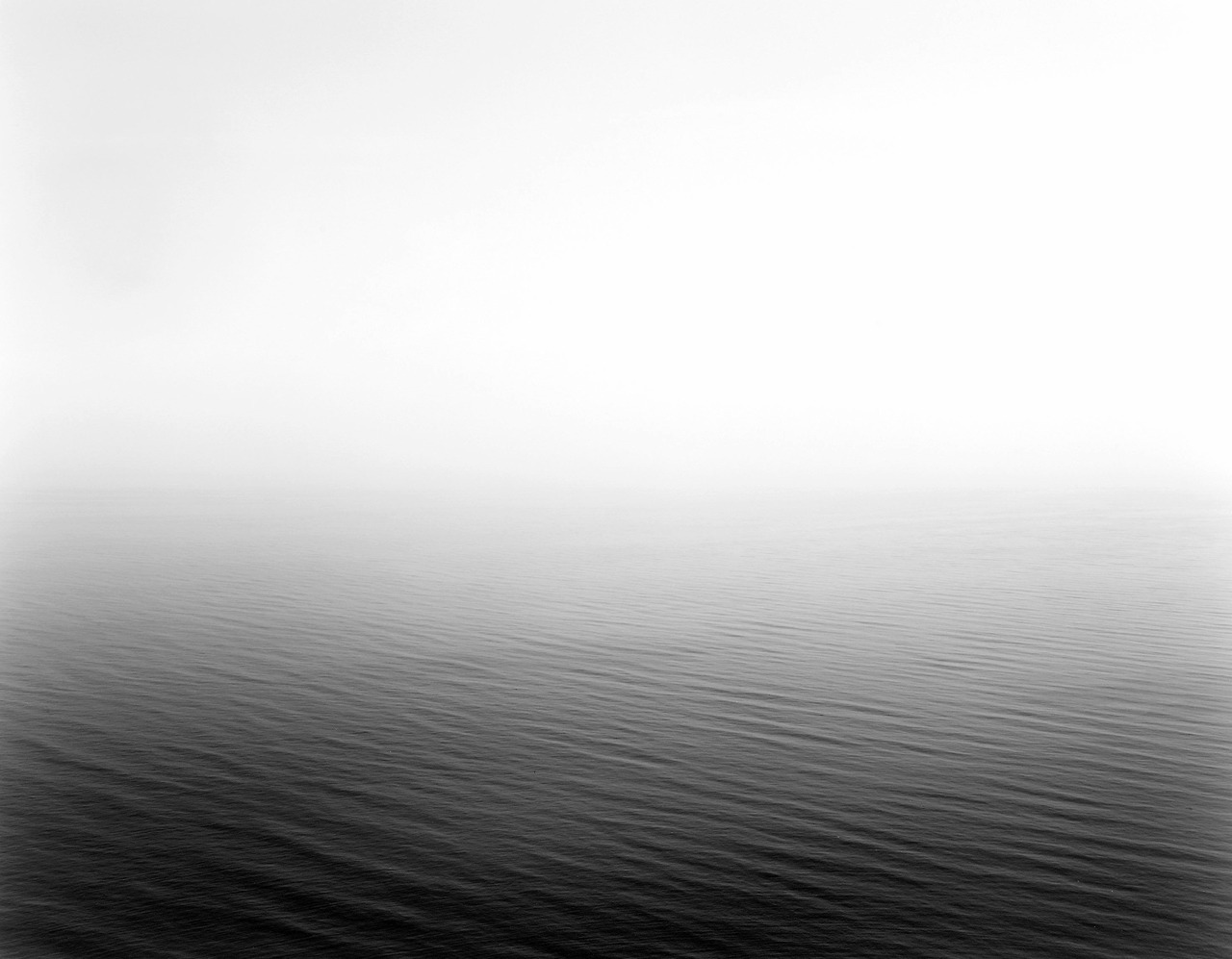 Archillect ID 14515