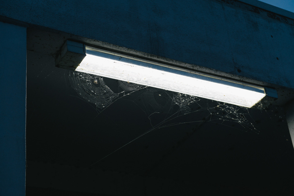 Archillect ID 14529