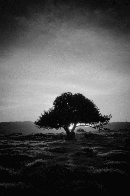 Archillect ID 14609