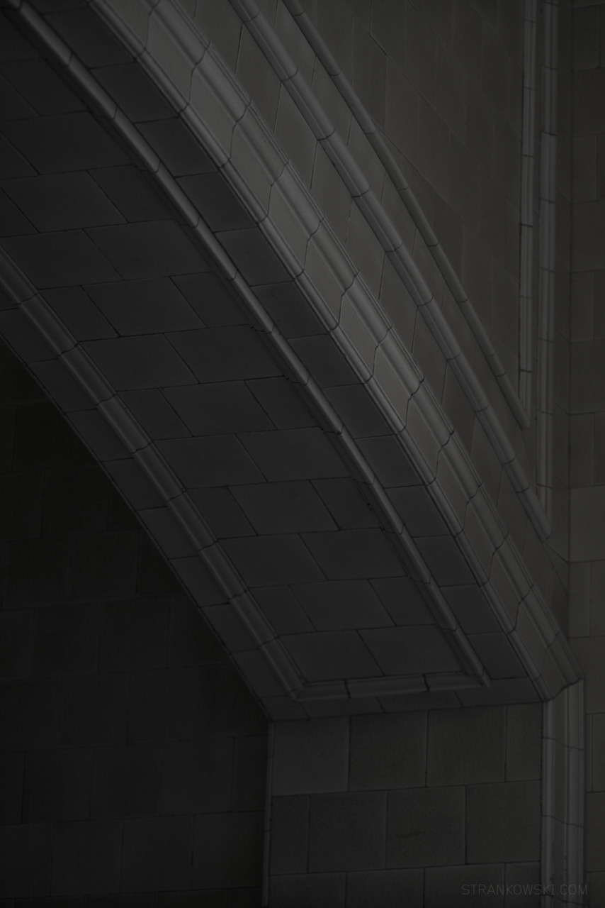 Archillect ID 14616
