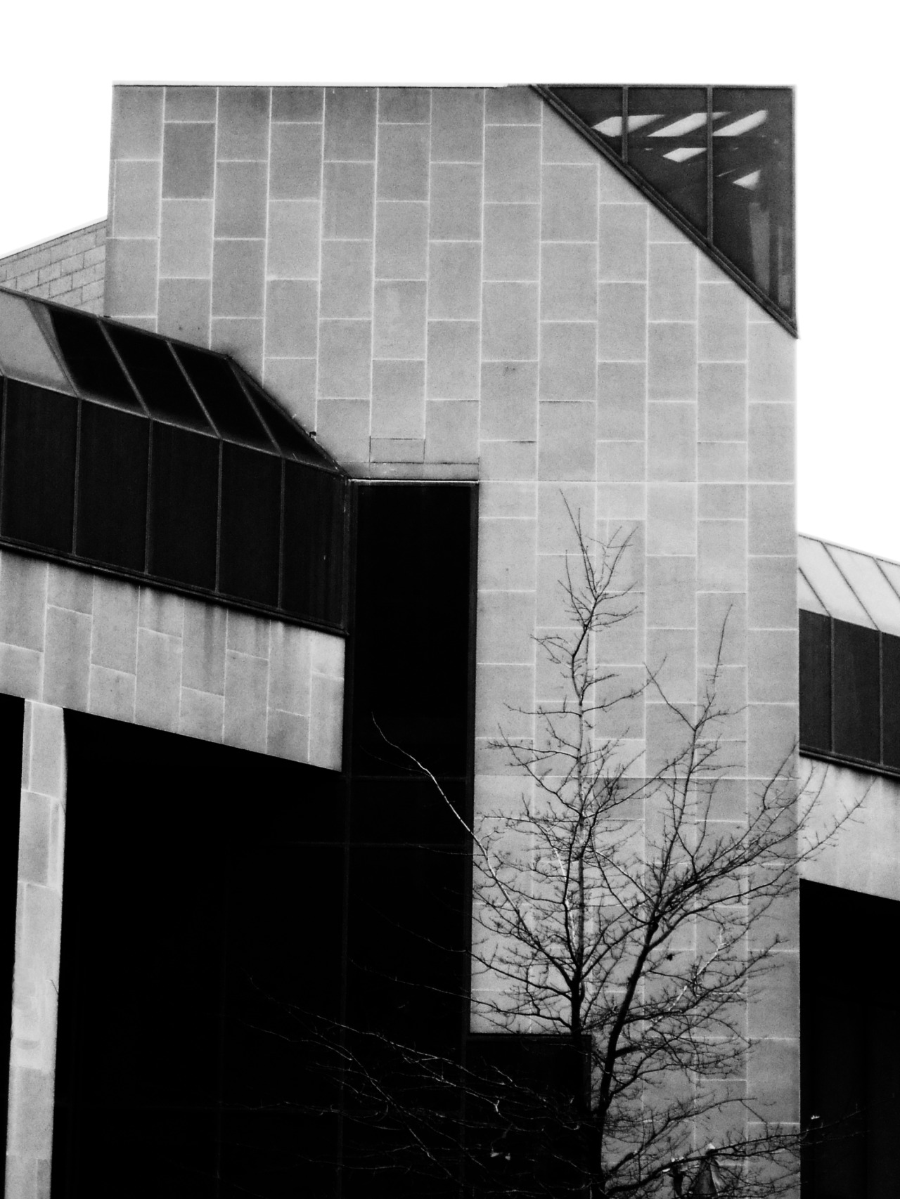 Archillect ID 14710