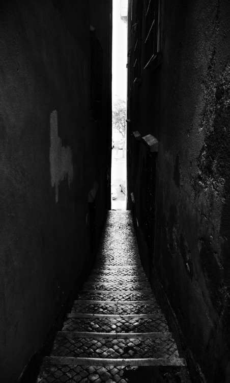 Archillect ID 14726