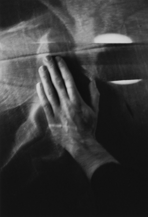 Archillect ID 14770