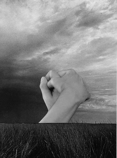 Archillect ID 14885