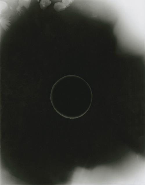 Archillect ID 14960