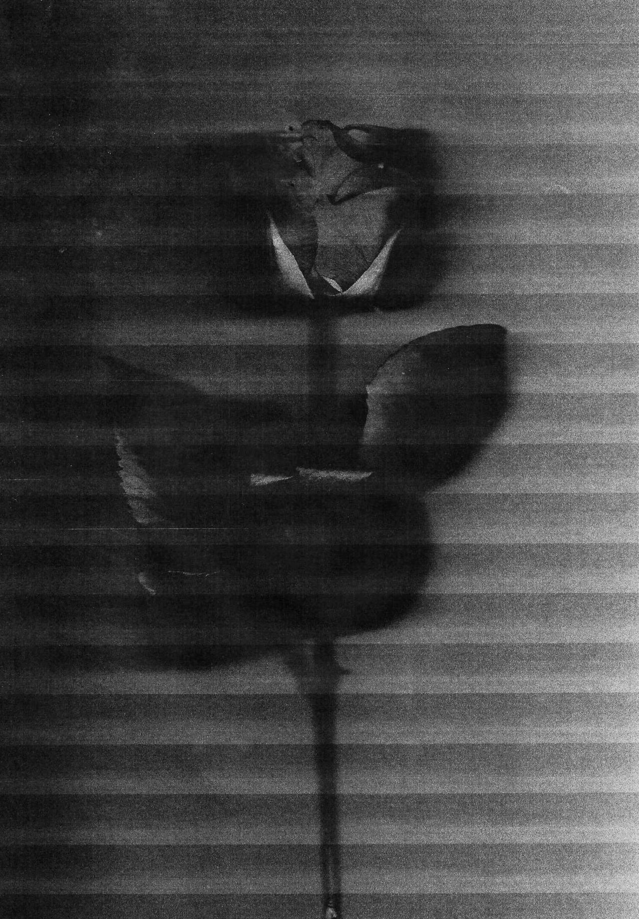 Archillect ID 14965