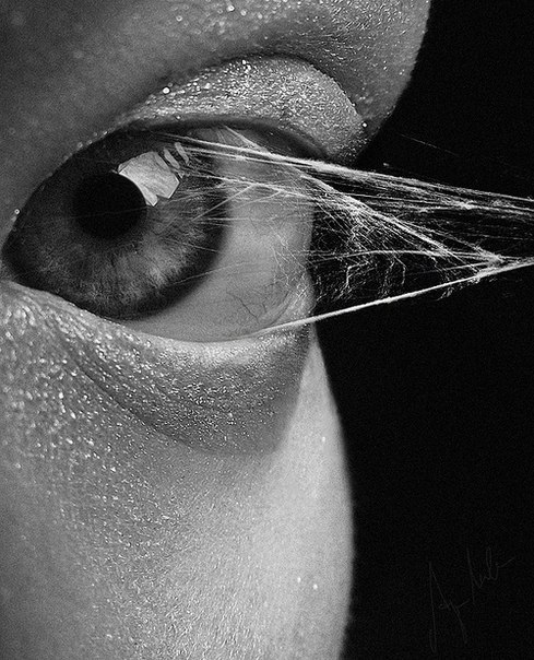Archillect ID 15002
