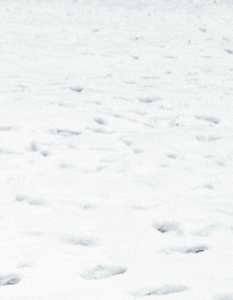 Archillect ID 15033