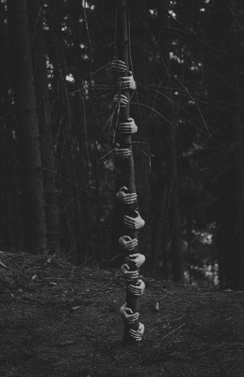 Archillect ID 15080