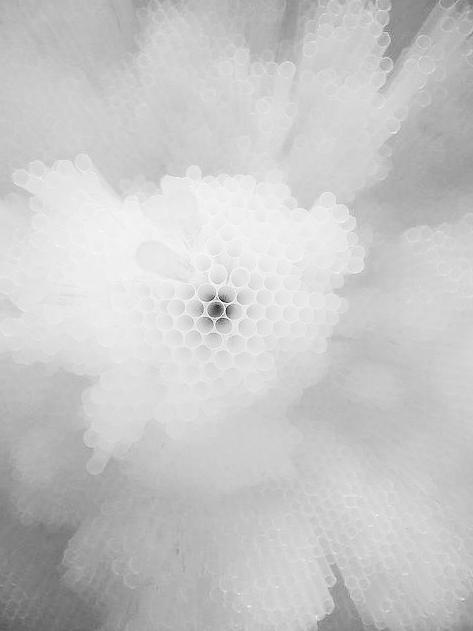 Archillect ID 15142