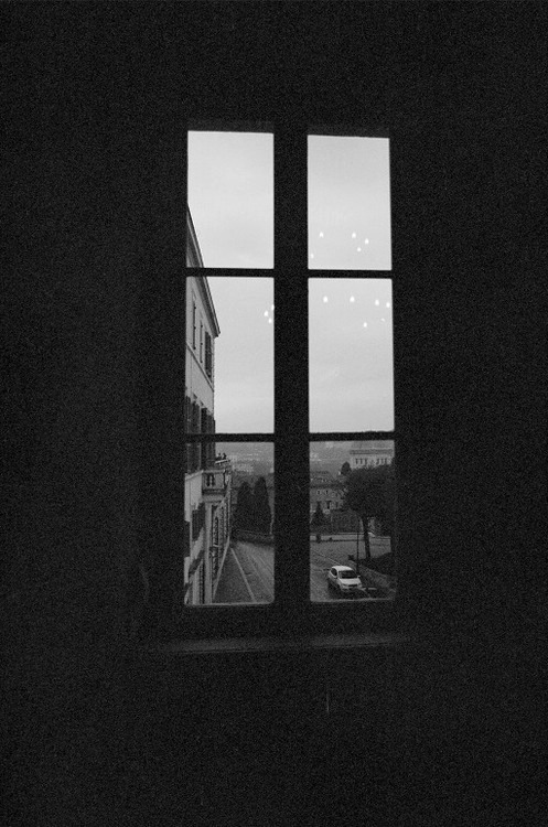 Archillect ID 15186