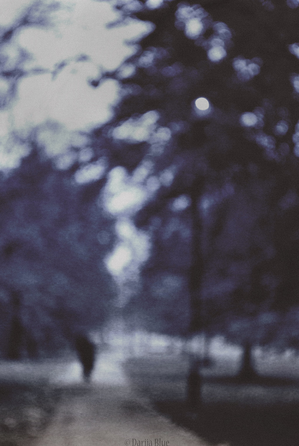 Archillect ID 15225