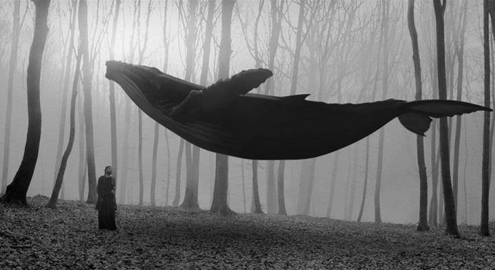 Archillect ID 15323