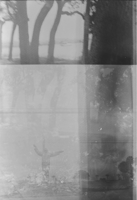 Archillect ID 15346