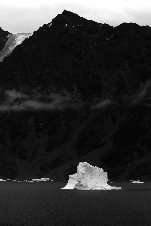Archillect ID 15361