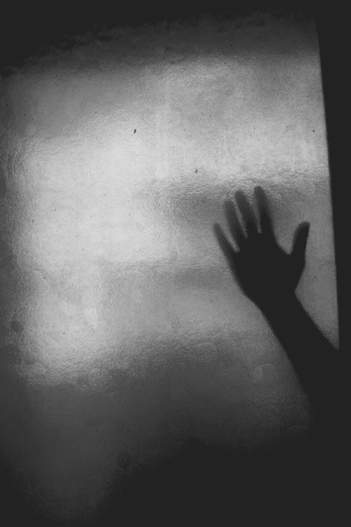 Archillect ID 15428
