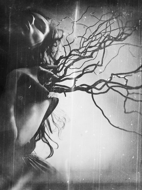 Archillect ID 15454