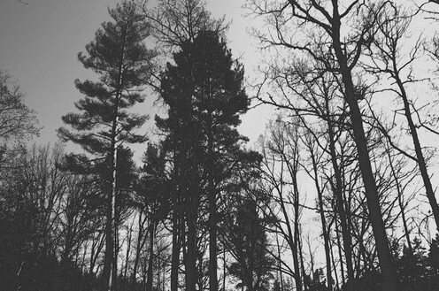Archillect ID 15593