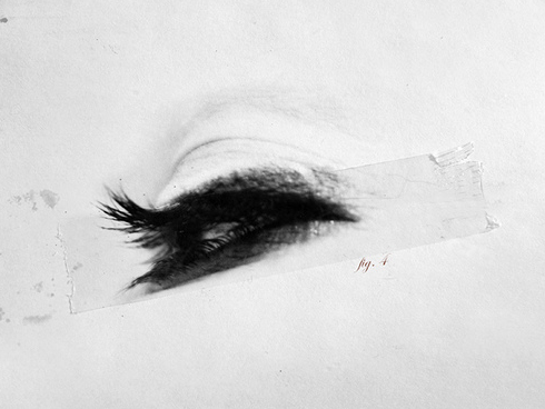 Archillect ID 15749