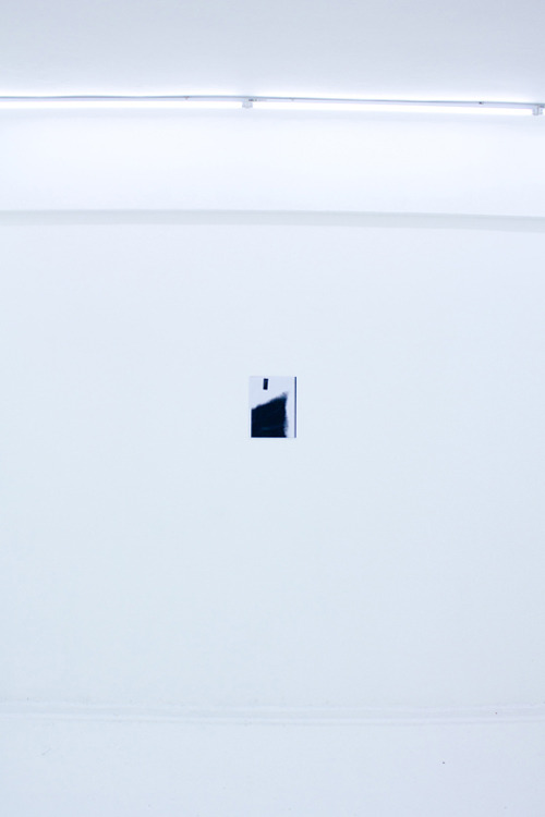 Archillect ID 15839