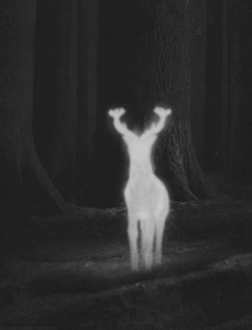 Archillect ID 15934