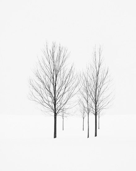 Archillect ID 15943