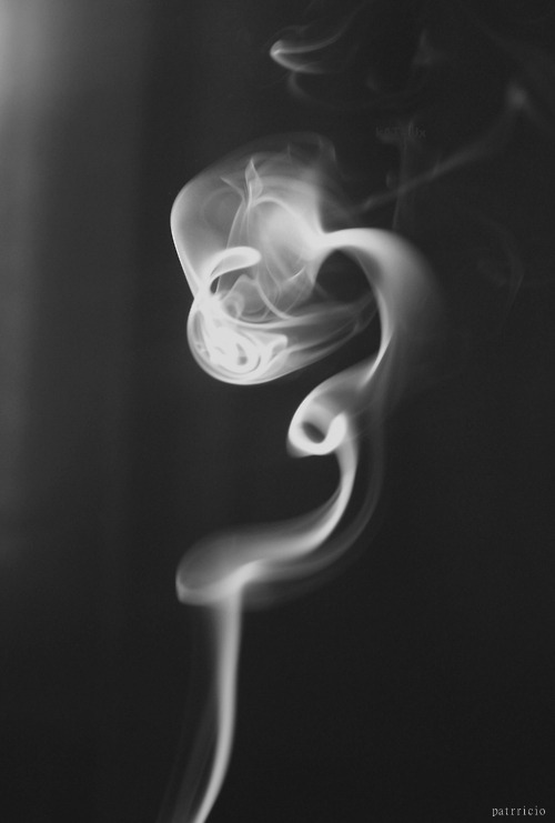 Archillect ID 16030
