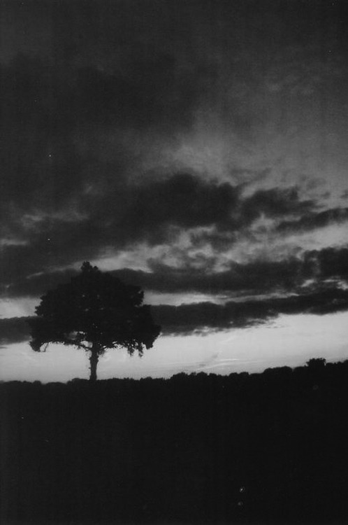 Archillect ID 16057