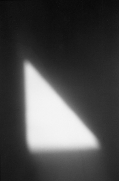 Archillect ID 16218