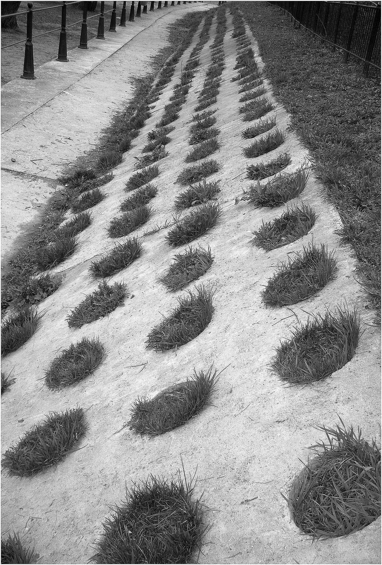 Archillect ID 16264
