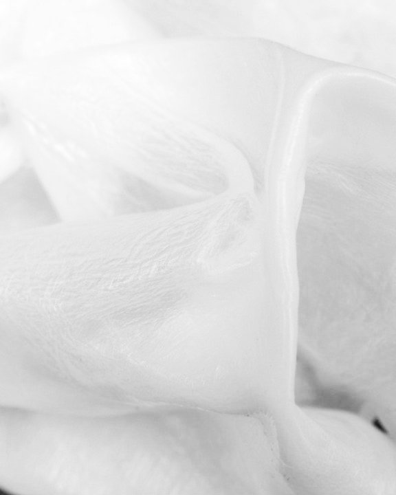Archillect ID 16303