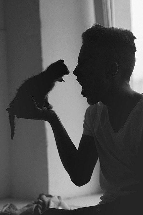 Archillect ID 16328