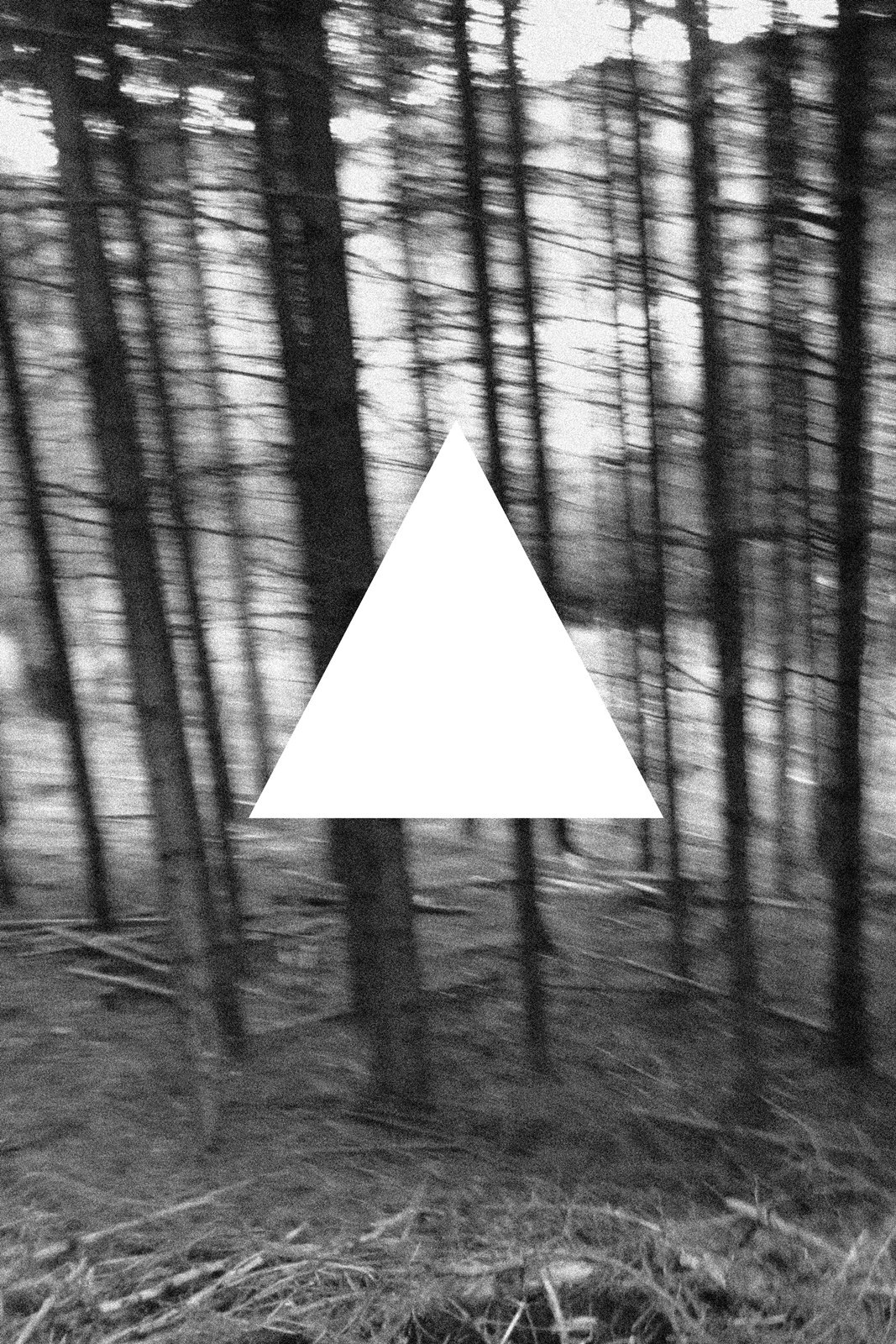 Archillect ID 16339