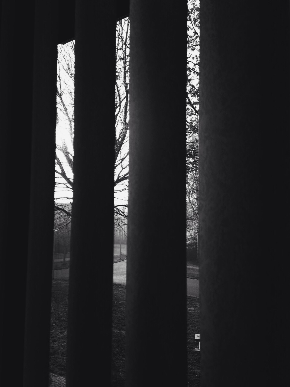 Archillect ID 16405