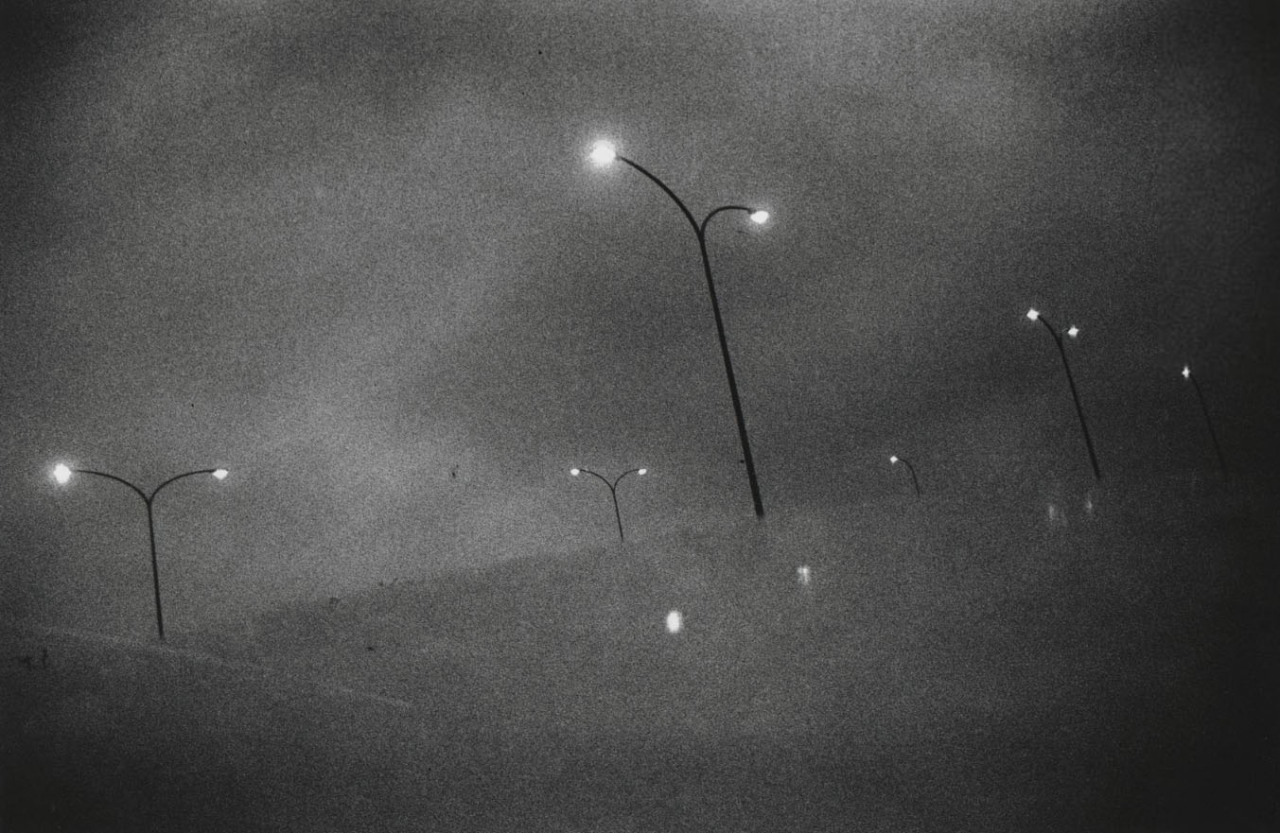Archillect ID 16492