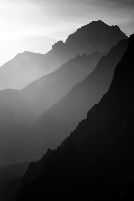 Archillect ID 16509
