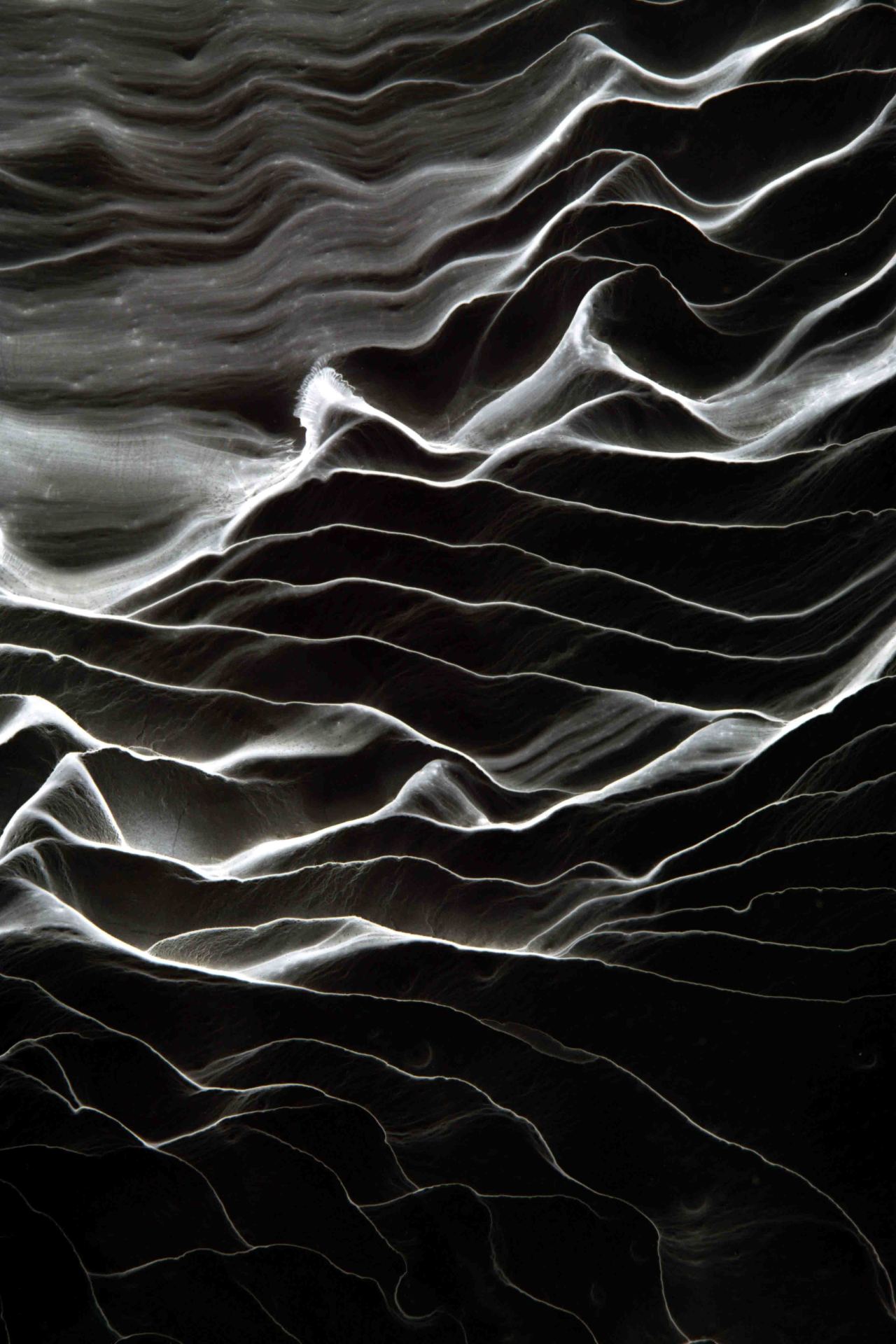 Archillect ID 16550