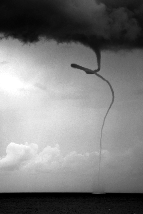 Archillect ID 16561
