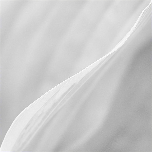 Archillect ID 16597