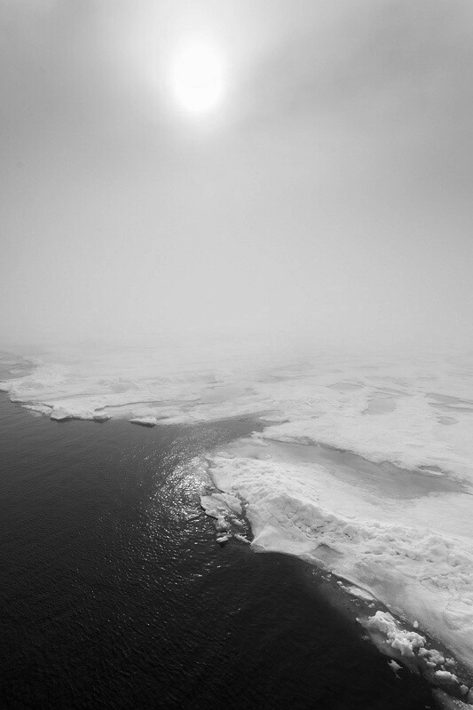 Archillect ID 16770