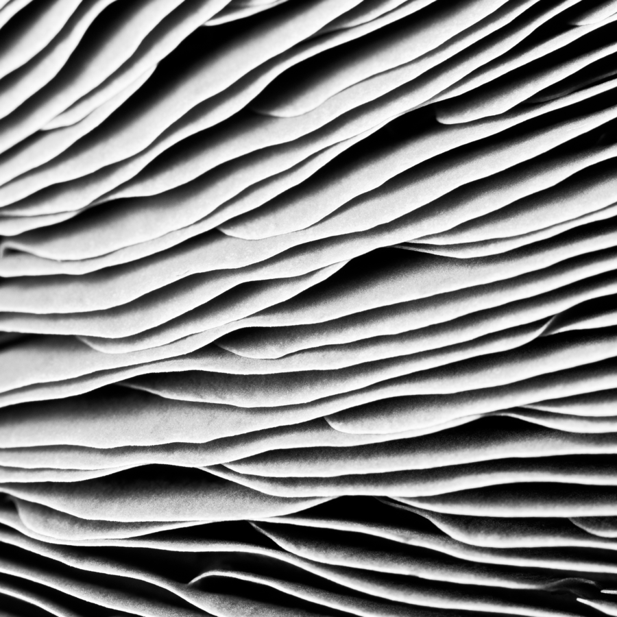 Archillect ID 16774