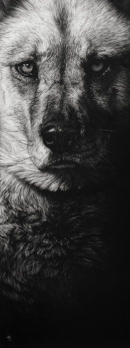 Archillect ID 16801