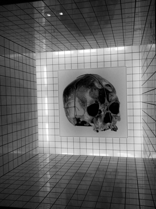 Archillect ID 16822