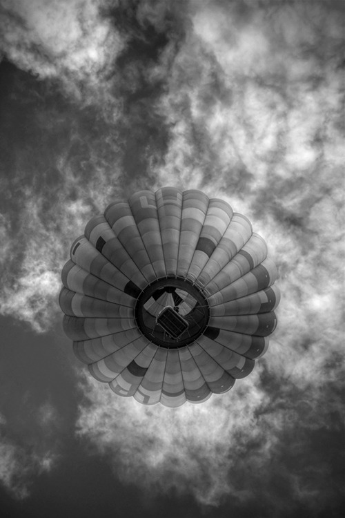 Archillect ID 16962