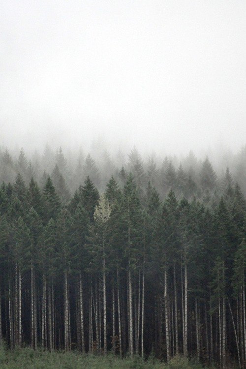 Archillect ID 16976