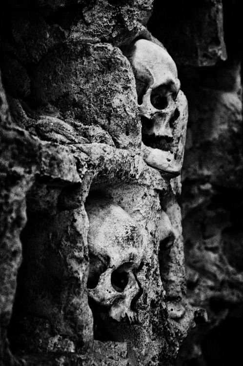 Archillect ID 16989