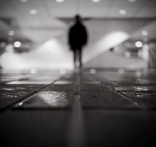Archillect ID 17011