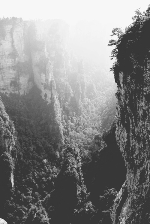 Archillect ID 17017
